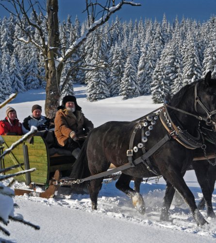 Schlittenfahrt durch´s Erzgebirge